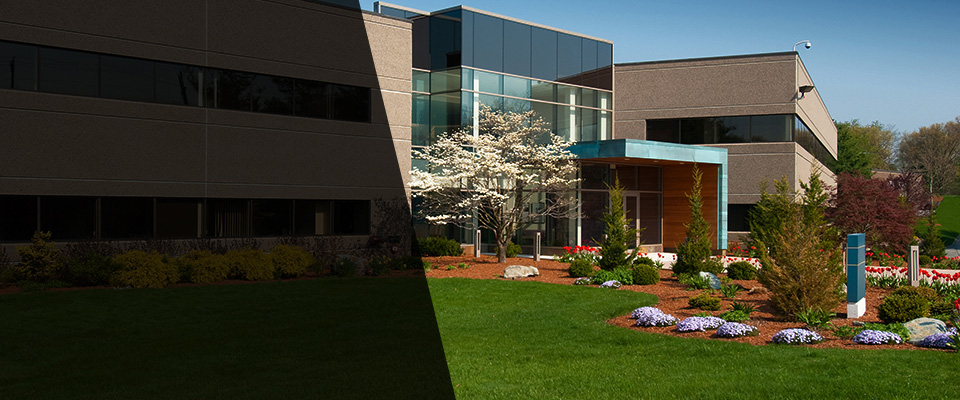 Henrico Landscapers