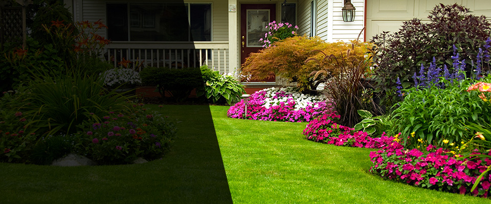 Henrico Landscapers