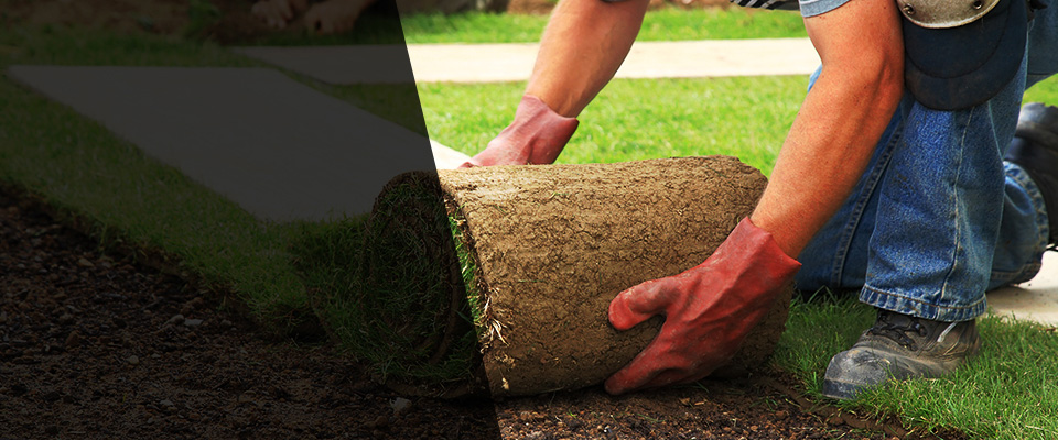 Henrico Landscapers